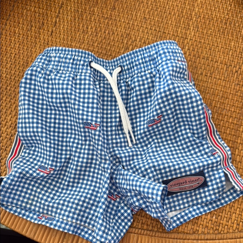 Vineyard Vines Blue Gingham Men's Shorts
